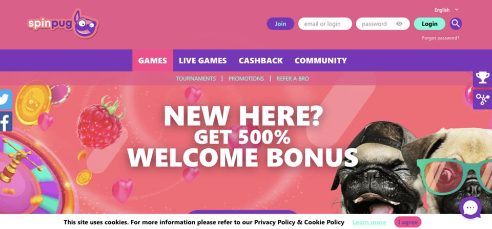 betkubi online casino